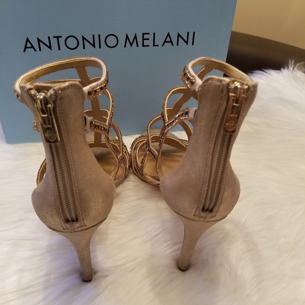Antonio Melani 10M (Faina) - Picture 3 of 4
